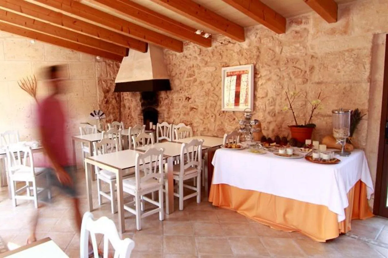 **** Hotell Algaida Suites By Eurotels Spanien