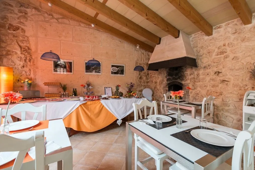 **** Hotell Algaida Suites By Eurotels Spanien